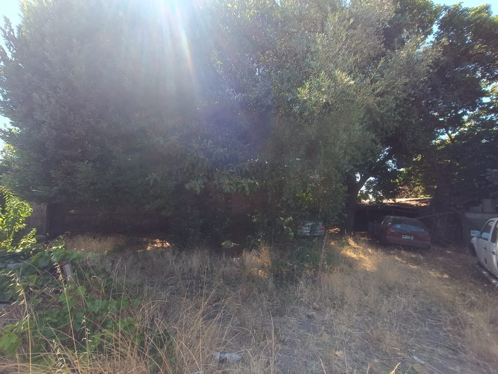 SE VENDE PROPIEDAD DE 530 MT2 EN CENTRO DE NACIMIENTO