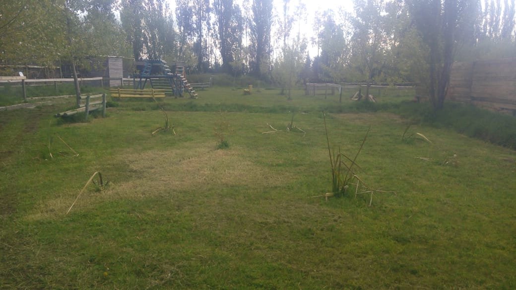 SE VENDE CAMPO DE 3,5 HECTÁREAS ORILLA DE CARRETERA LOS ÁNGELES