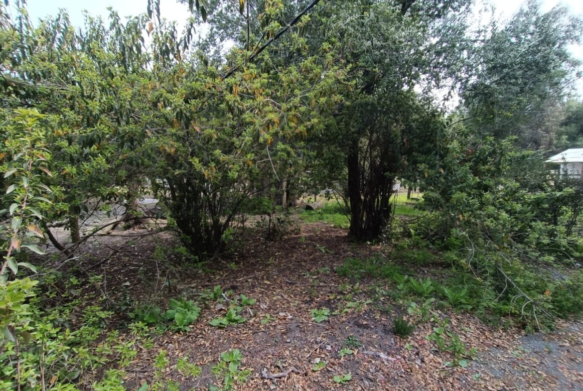 SE VENDE CAMPO DE 3,5 HECTÁREAS ORILLA DE CARRETERA LOS ÁNGELES