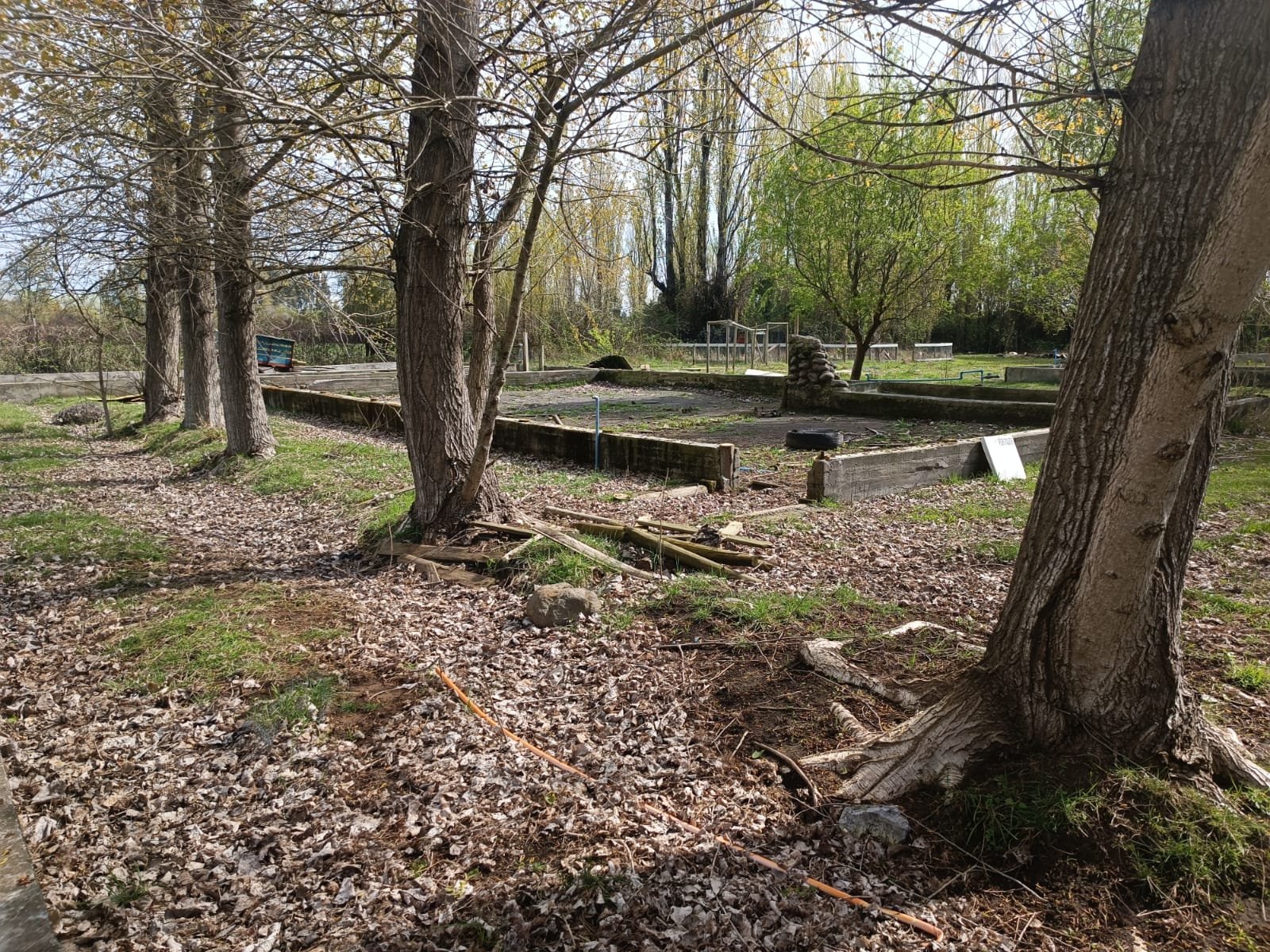 SE VENDE CAMPO DE 3,5 HECTÁREAS ORILLA DE CARRETERA LOS ÁNGELES