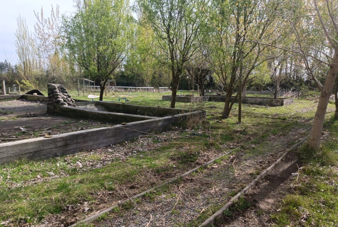 SE VENDE CAMPO DE 3,5 HECTÁREAS ORILLA DE CARRETERA LOS ÁNGELES
