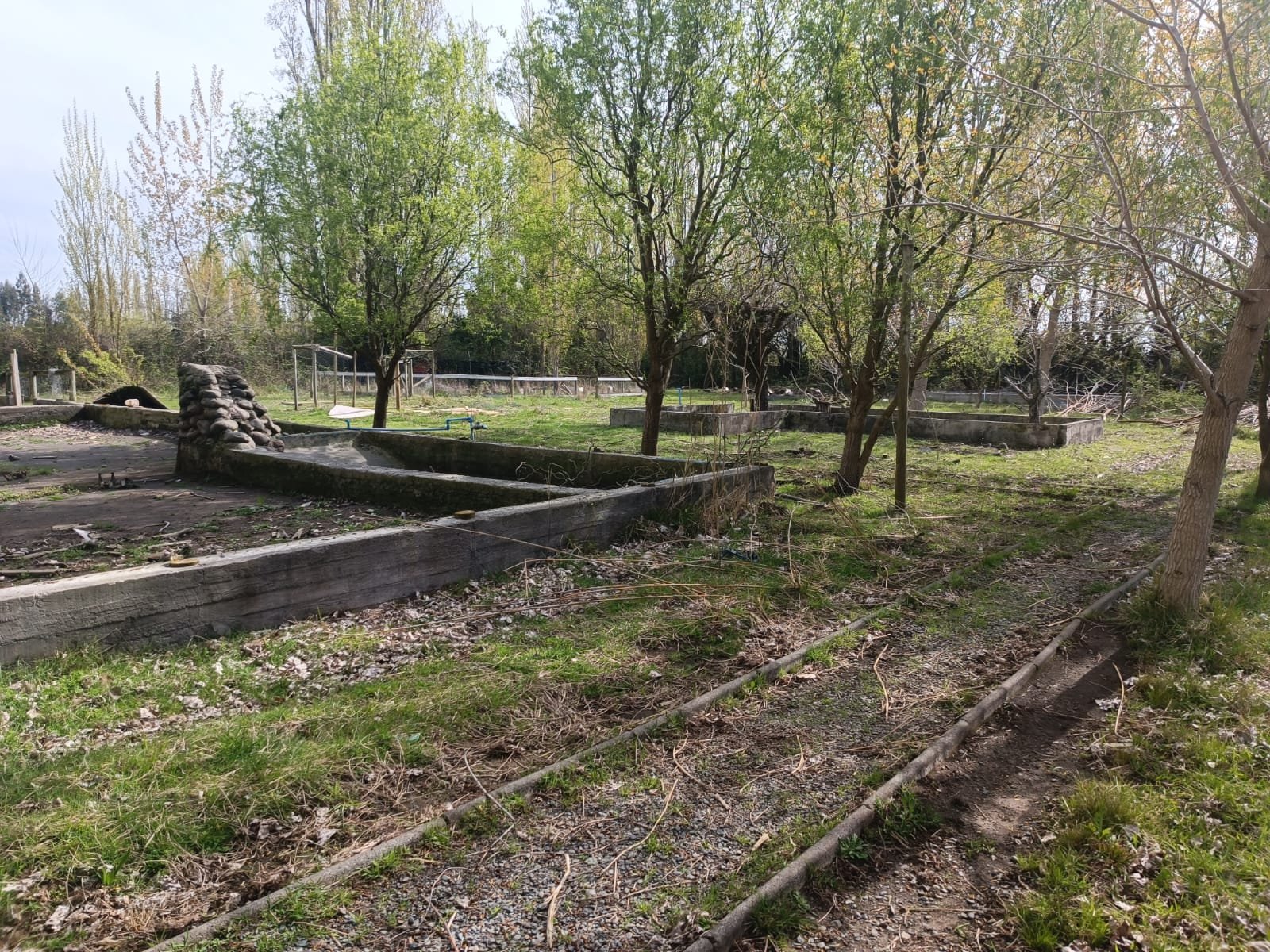 SE VENDE CAMPO DE 3,5 HECTÁREAS ORILLA DE CARRETERA LOS ÁNGELES