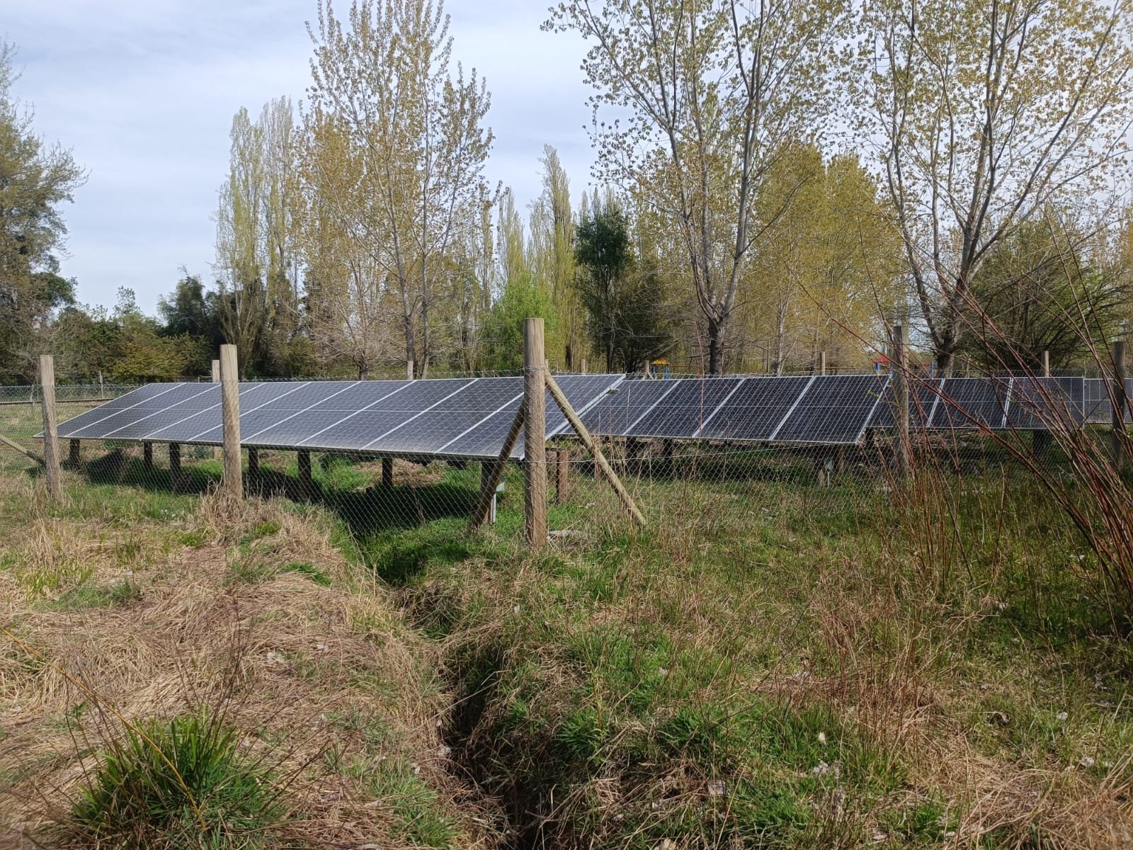 SE VENDE CAMPO DE 3,5 HECTÁREAS ORILLA DE CARRETERA LOS ÁNGELES