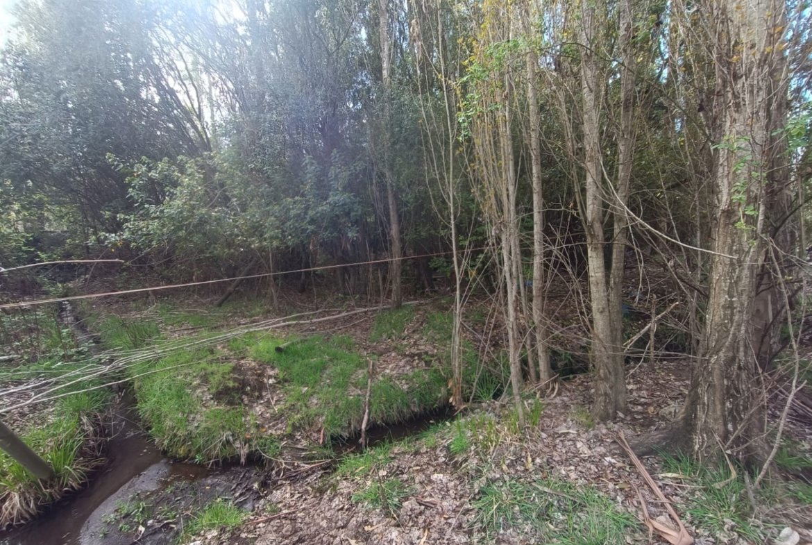 SE VENDE CAMPO DE 3,5 HECTÁREAS ORILLA DE CARRETERA LOS ÁNGELES