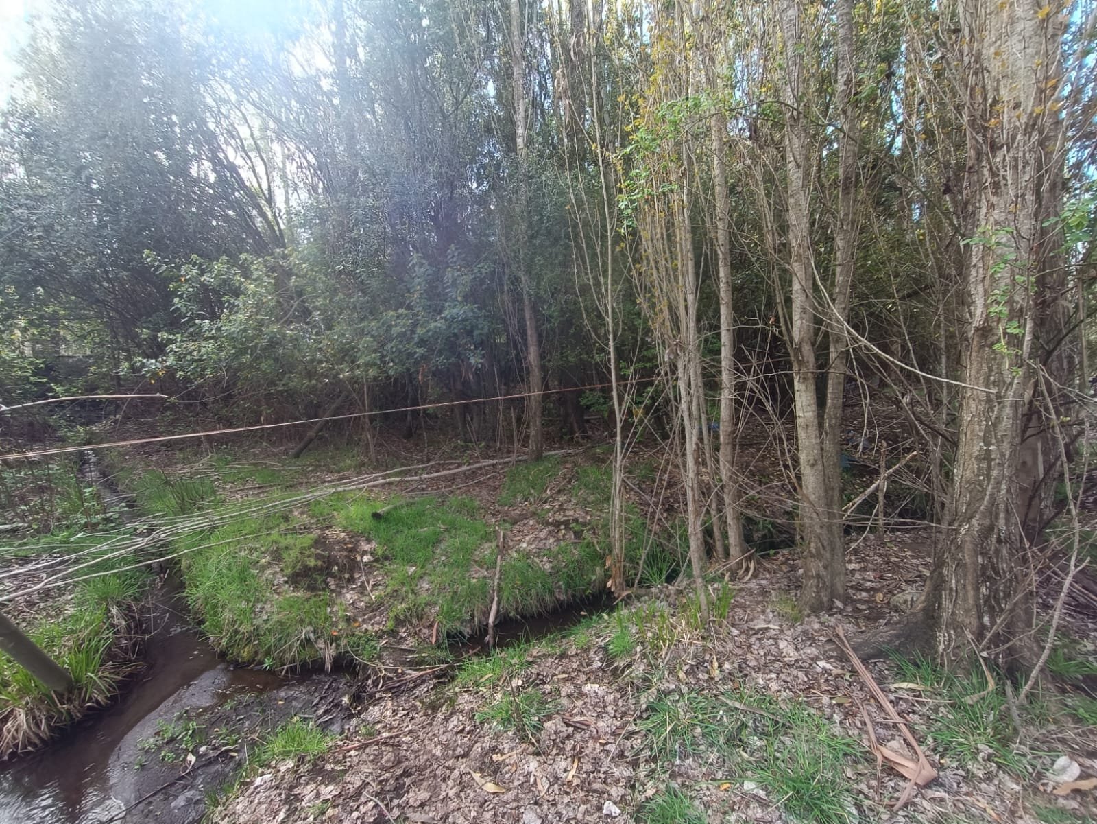 SE VENDE CAMPO DE 3,5 HECTÁREAS ORILLA DE CARRETERA LOS ÁNGELES