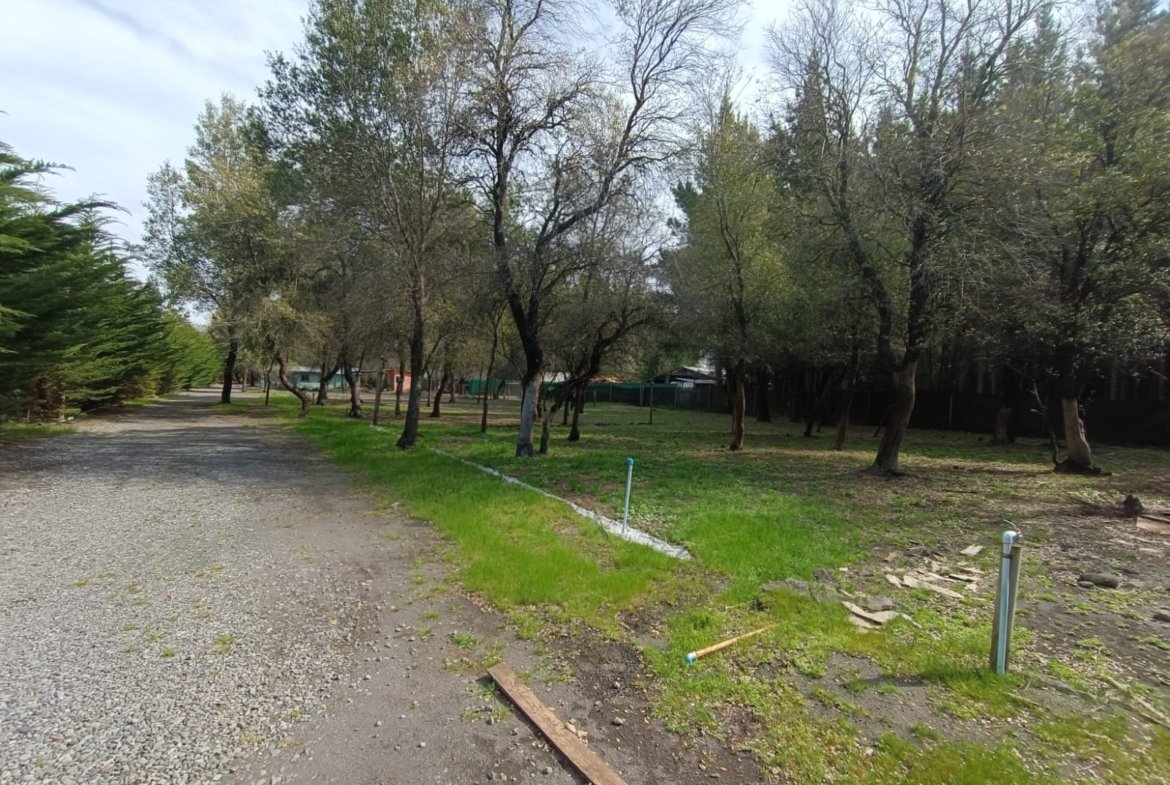 SE VENDE CAMPO DE 3,5 HECTÁREAS ORILLA DE CARRETERA LOS ÁNGELES