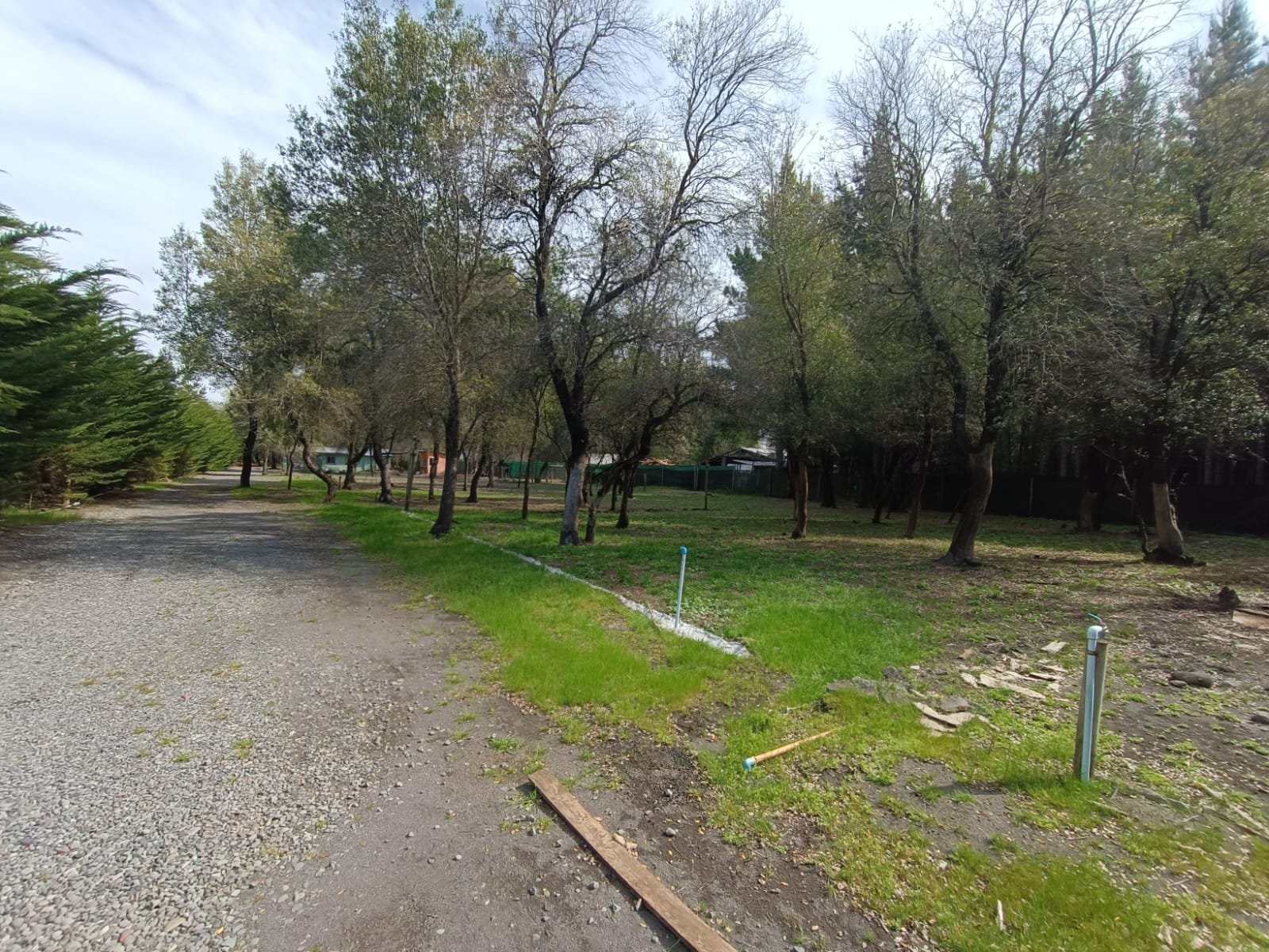 SE VENDE CAMPO DE 3,5 HECTÁREAS ORILLA DE CARRETERA LOS ÁNGELES