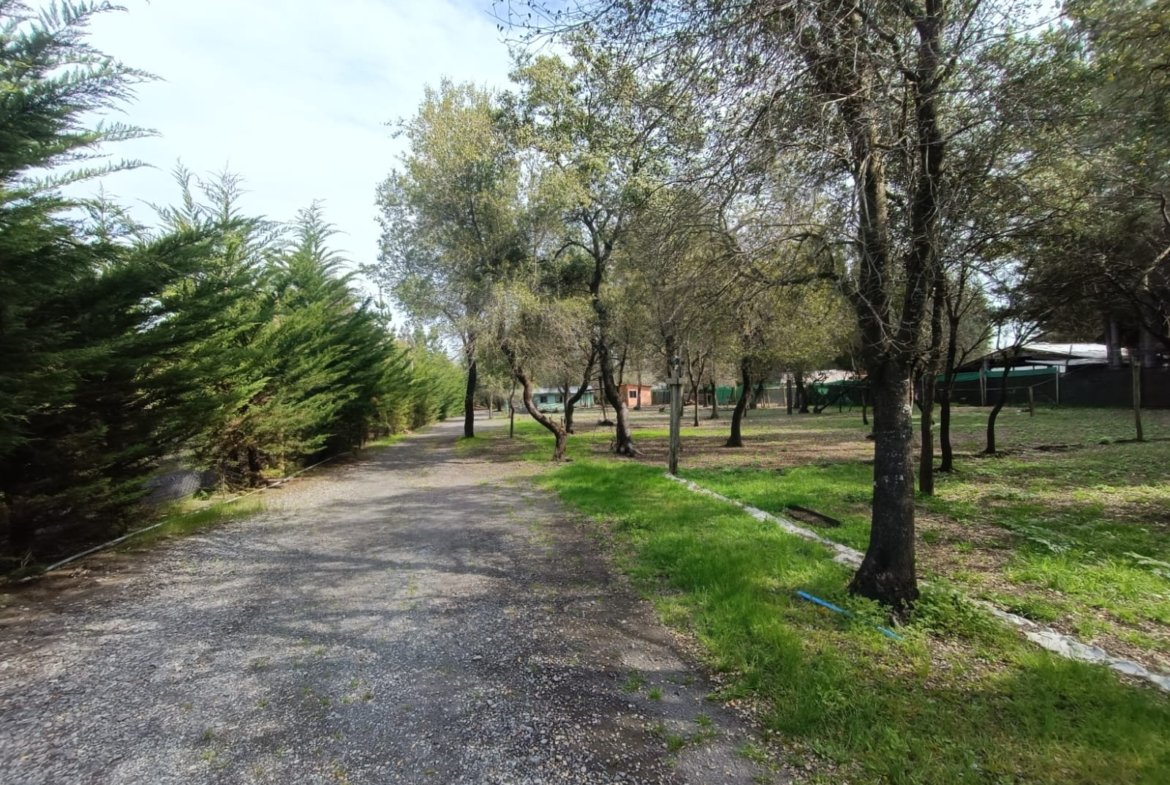 SE VENDE CAMPO DE 3,5 HECTÁREAS ORILLA DE CARRETERA LOS ÁNGELES