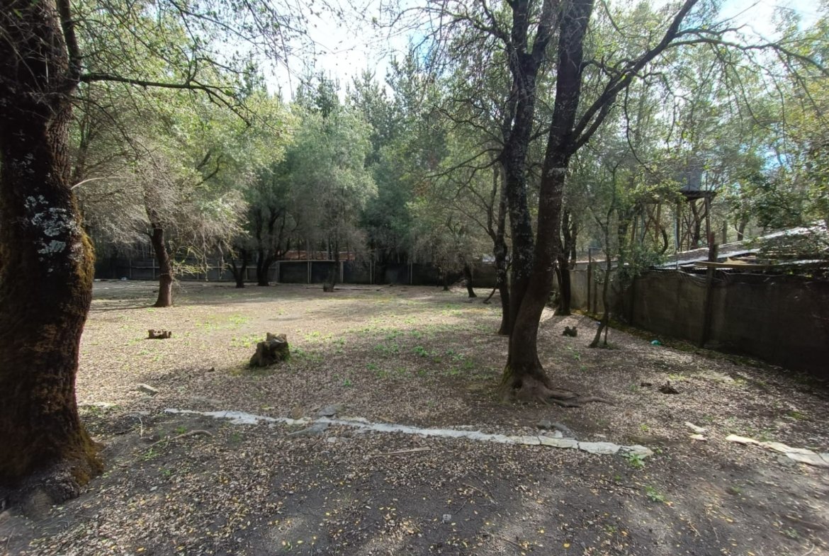 SE VENDE CAMPO DE 3,5 HECTÁREAS ORILLA DE CARRETERA LOS ÁNGELES
