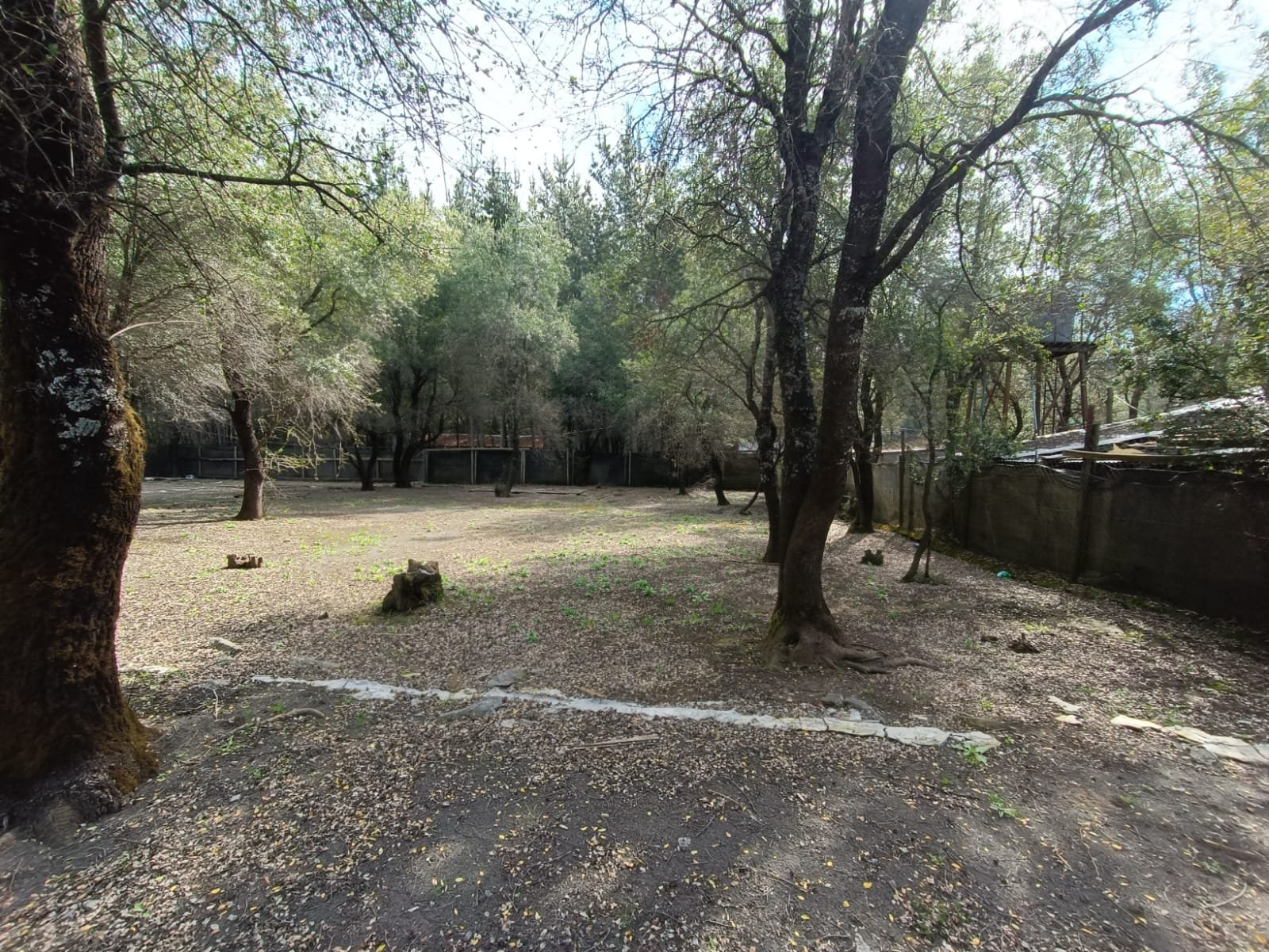 SE VENDE CAMPO DE 3,5 HECTÁREAS ORILLA DE CARRETERA LOS ÁNGELES