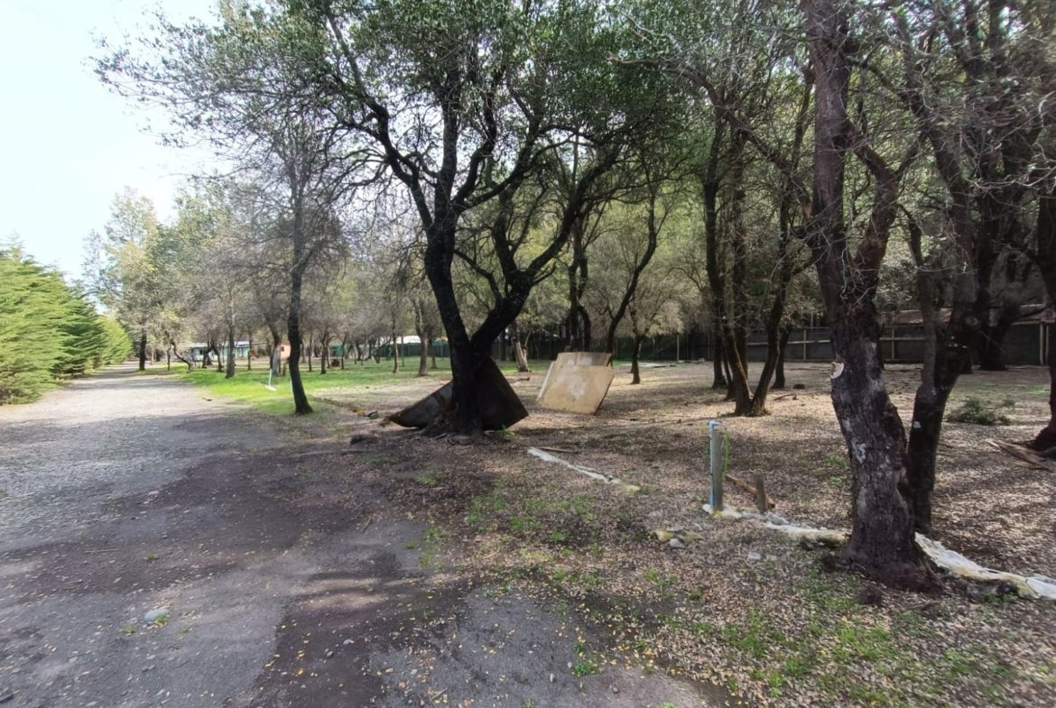 SE VENDE CAMPO DE 3,5 HECTÁREAS ORILLA DE CARRETERA LOS ÁNGELES
