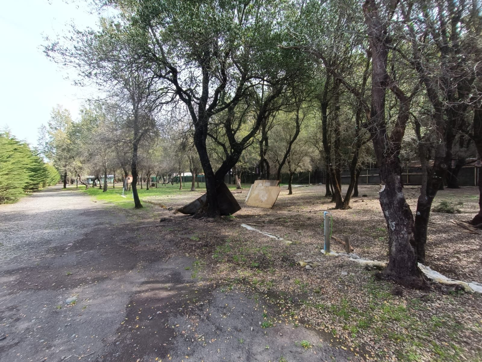 SE VENDE CAMPO DE 3,5 HECTÁREAS ORILLA DE CARRETERA LOS ÁNGELES