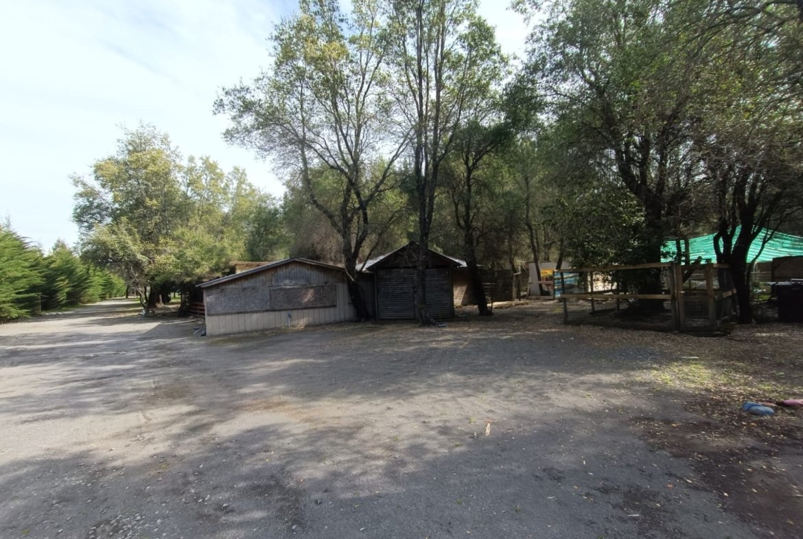 SE VENDE CAMPO DE 3,5 HECTÁREAS ORILLA DE CARRETERA LOS ÁNGELES