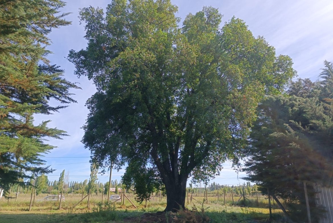 SE VENDE PARCELA KILÓMETRO 7 CAMINO AL PERAL