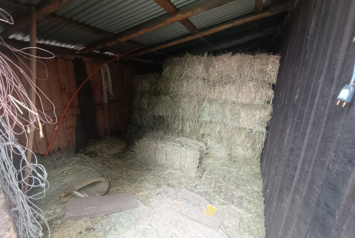 SE VENDE CAMPO 2.5 HECTÁREAS SECTOR SANTA FE