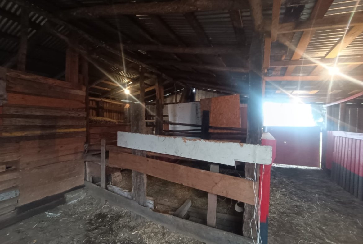 SE VENDE CAMPO 2.5 HECTÁREAS SECTOR SANTA FE