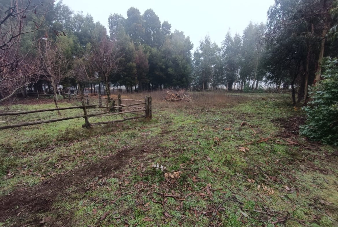 SE VENDE CAMPO 2.5 HECTÁREAS SECTOR SANTA FE