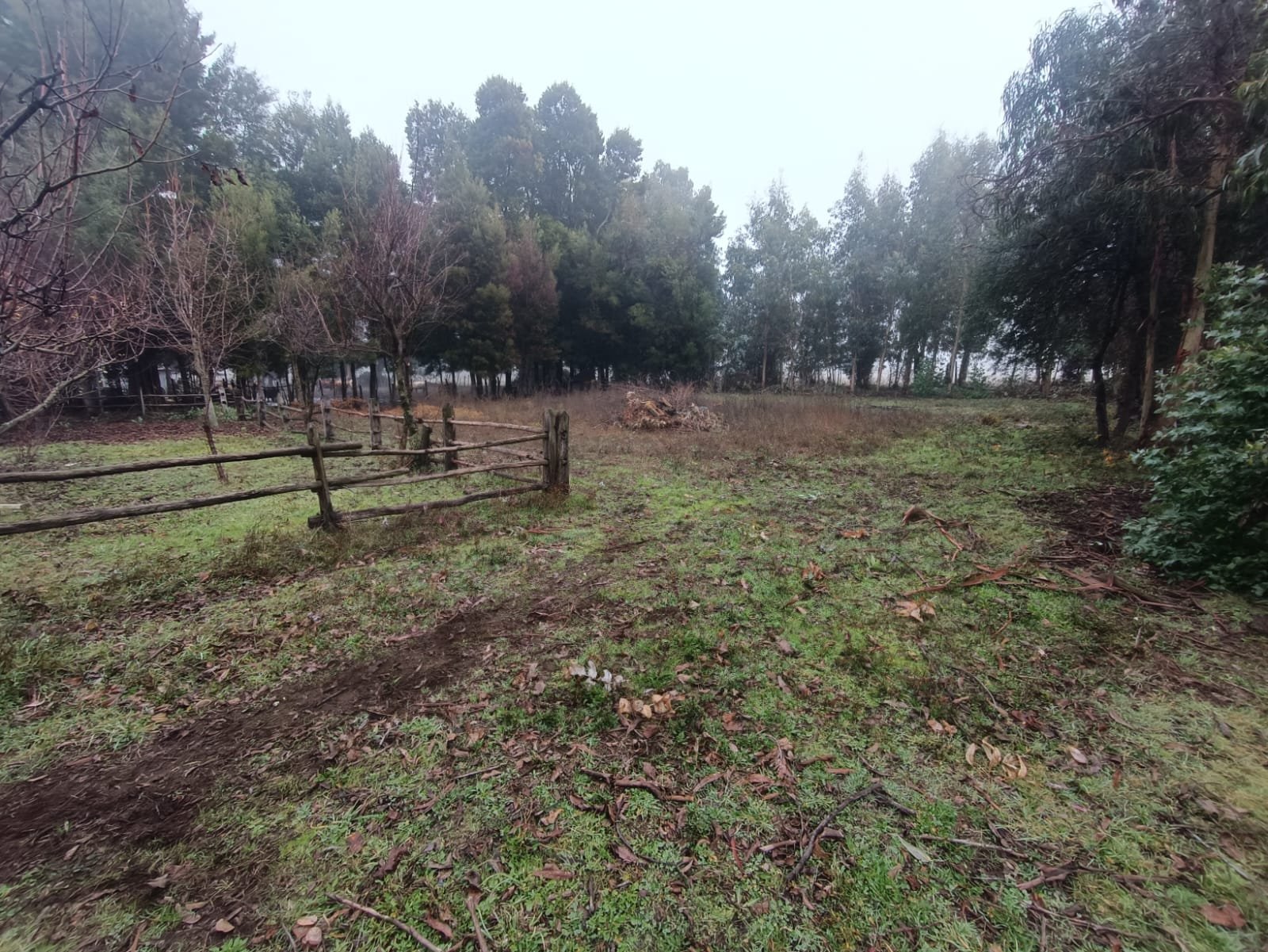 SE VENDE CAMPO 2.5 HECTÁREAS SECTOR SANTA FE