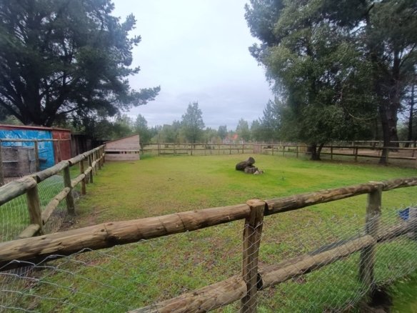 SE VENDE CAMPO DE 2,7 HECTÁREAS CAMINO A SANTA BÁRBARA