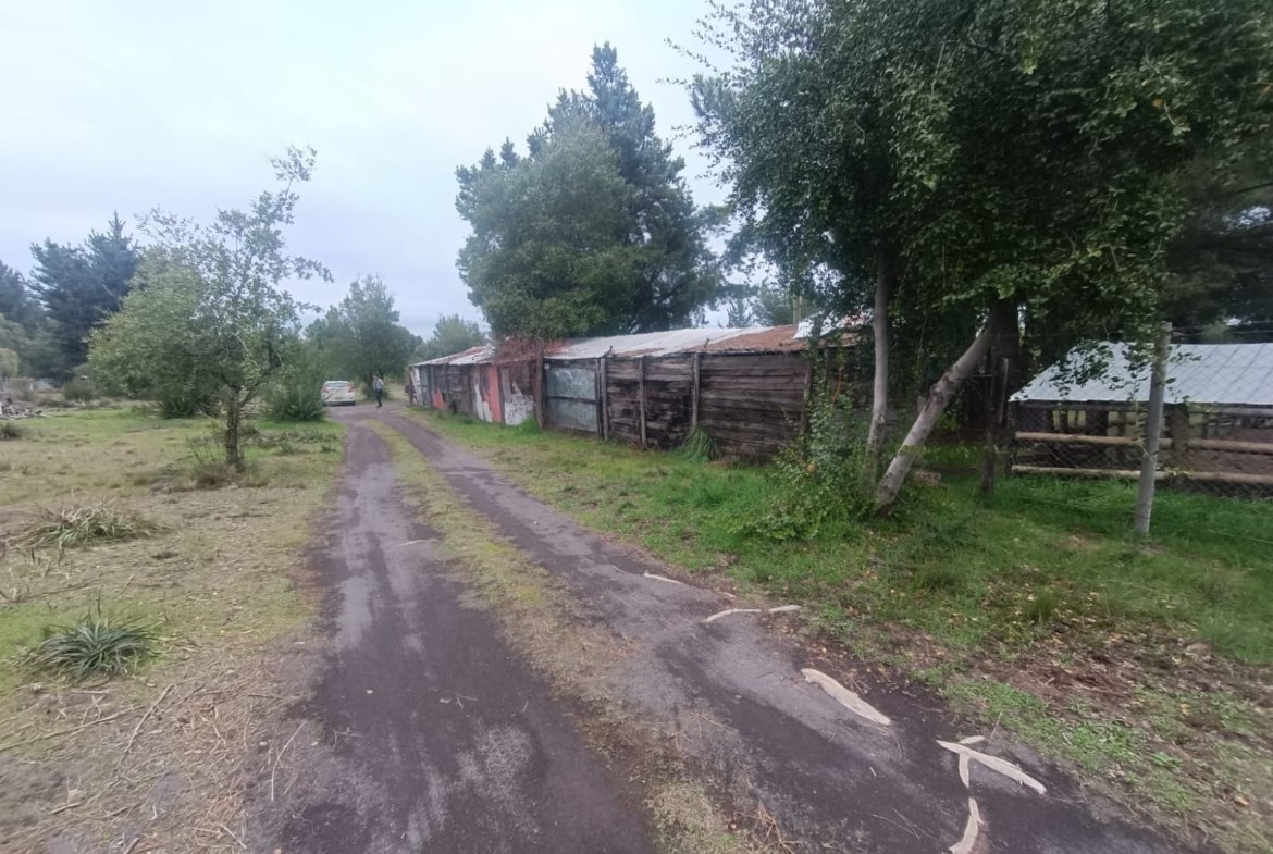 SE VENDE CAMPO DE 2,7 HECTÁREAS CAMINO A SANTA BÁRBARA