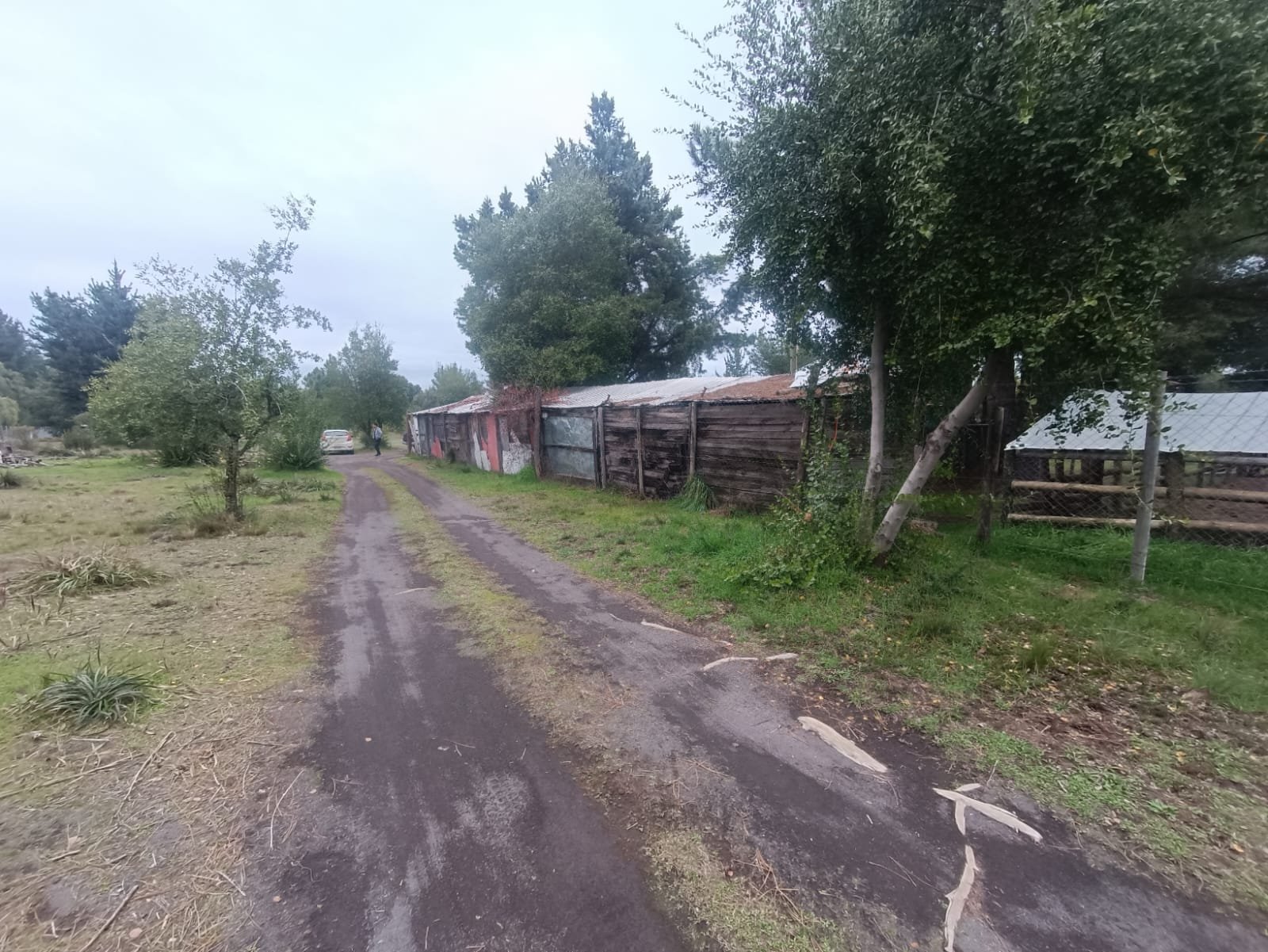 SE VENDE CAMPO DE 2,7 HECTÁREAS CAMINO A SANTA BÁRBARA