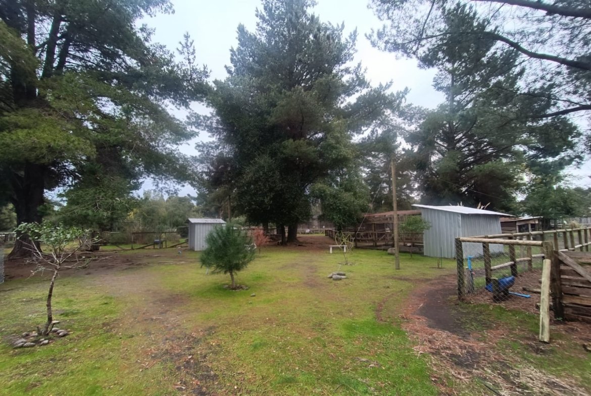 SE VENDE CAMPO DE 2,7 HECTÁREAS CAMINO A SANTA BÁRBARA