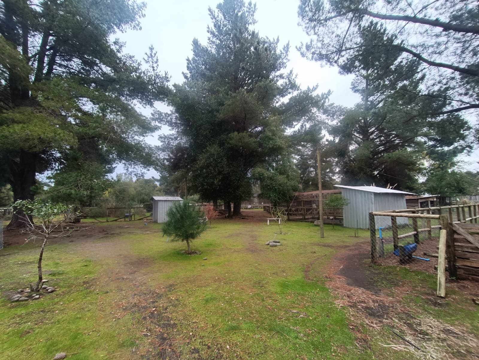 SE VENDE CAMPO DE 2,7 HECTÁREAS CAMINO A SANTA BÁRBARA