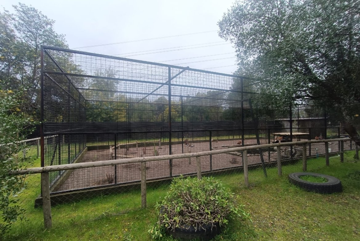 SE VENDE CAMPO DE 2,7 HECTÁREAS CAMINO A SANTA BÁRBARA