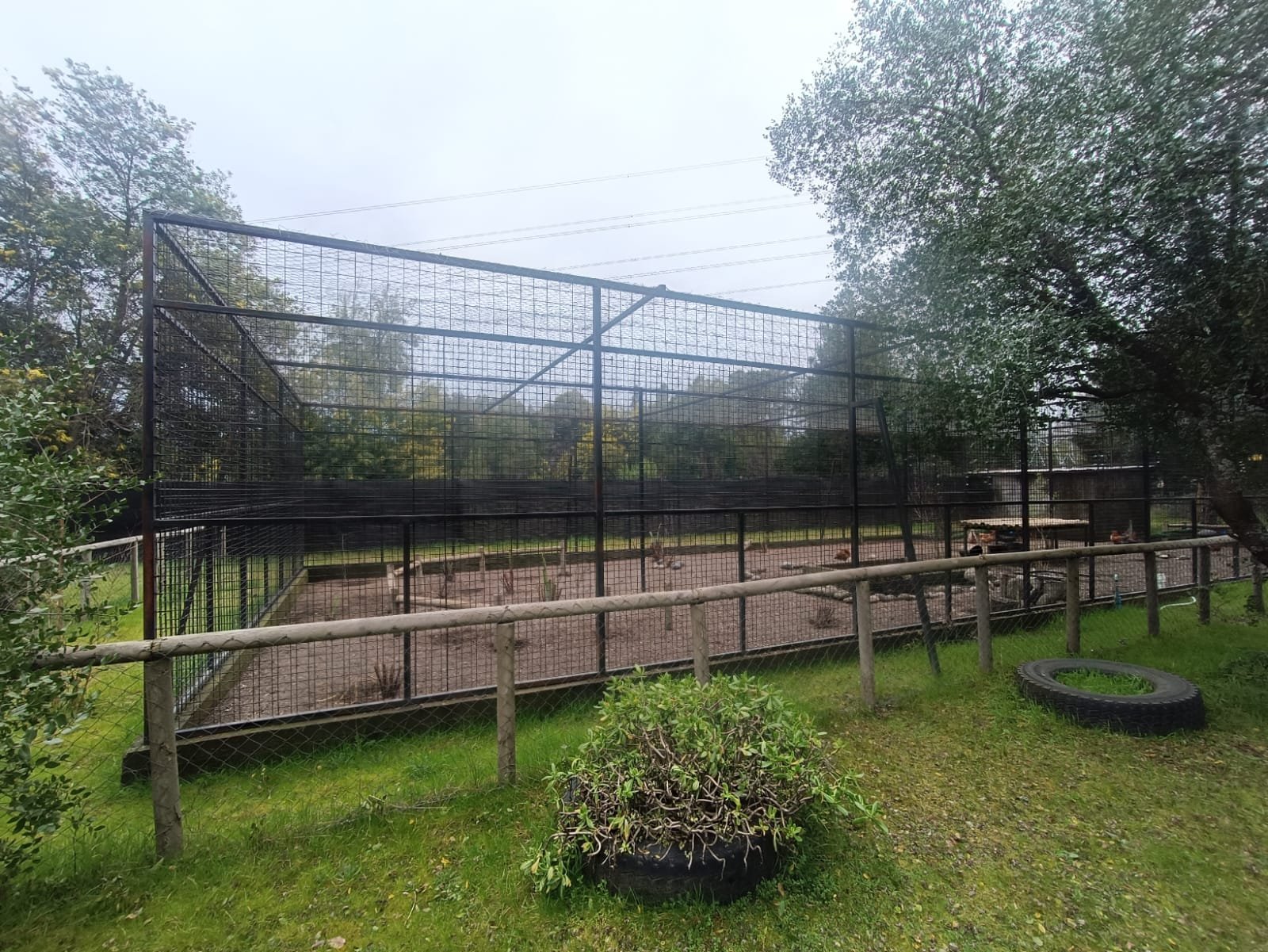 SE VENDE CAMPO DE 2,7 HECTÁREAS CAMINO A SANTA BÁRBARA