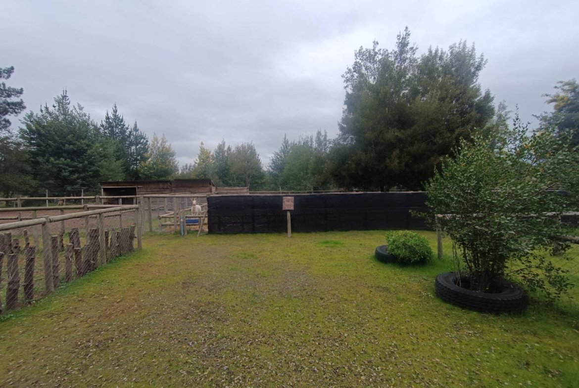 SE VENDE CAMPO DE 2,7 HECTÁREAS CAMINO A SANTA BÁRBARA