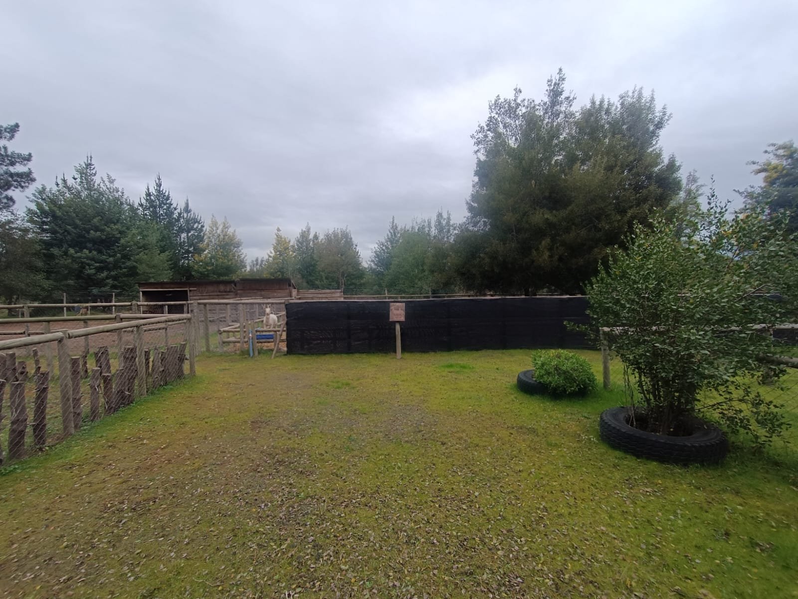 SE VENDE CAMPO DE 2,7 HECTÁREAS CAMINO A SANTA BÁRBARA