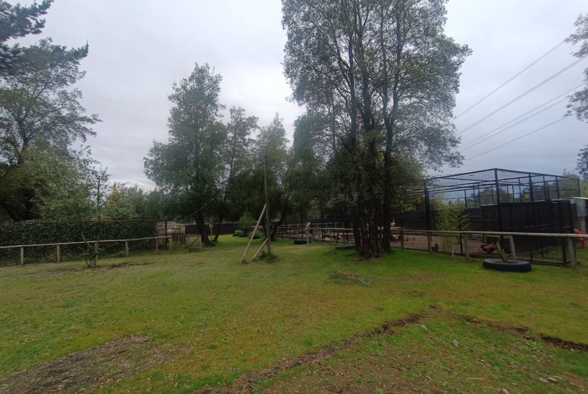 SE VENDE CAMPO DE 2,7 HECTÁREAS CAMINO A SANTA BÁRBARA
