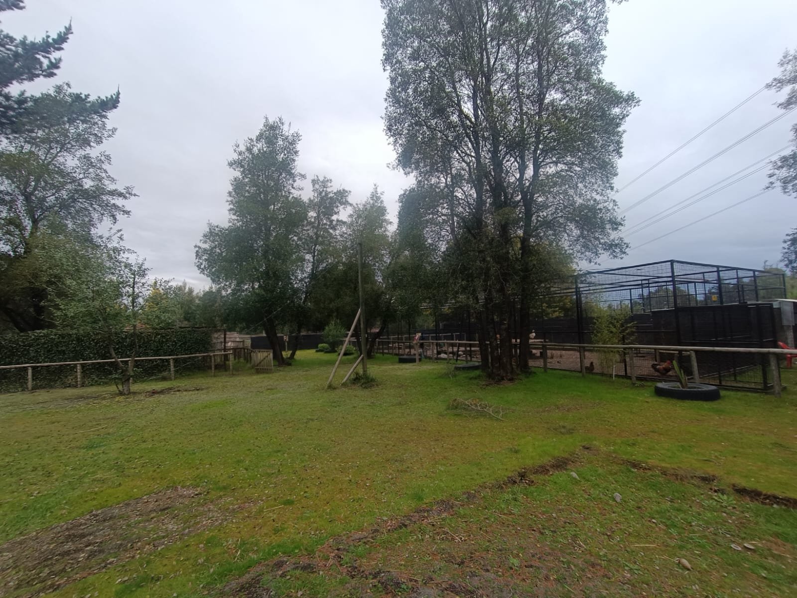 SE VENDE CAMPO DE 2,7 HECTÁREAS CAMINO A SANTA BÁRBARA