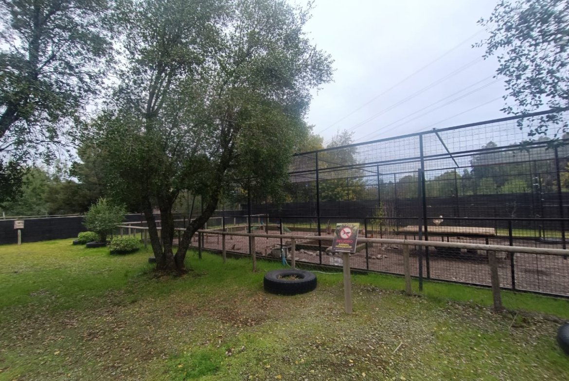 SE VENDE CAMPO DE 2,7 HECTÁREAS CAMINO A SANTA BÁRBARA