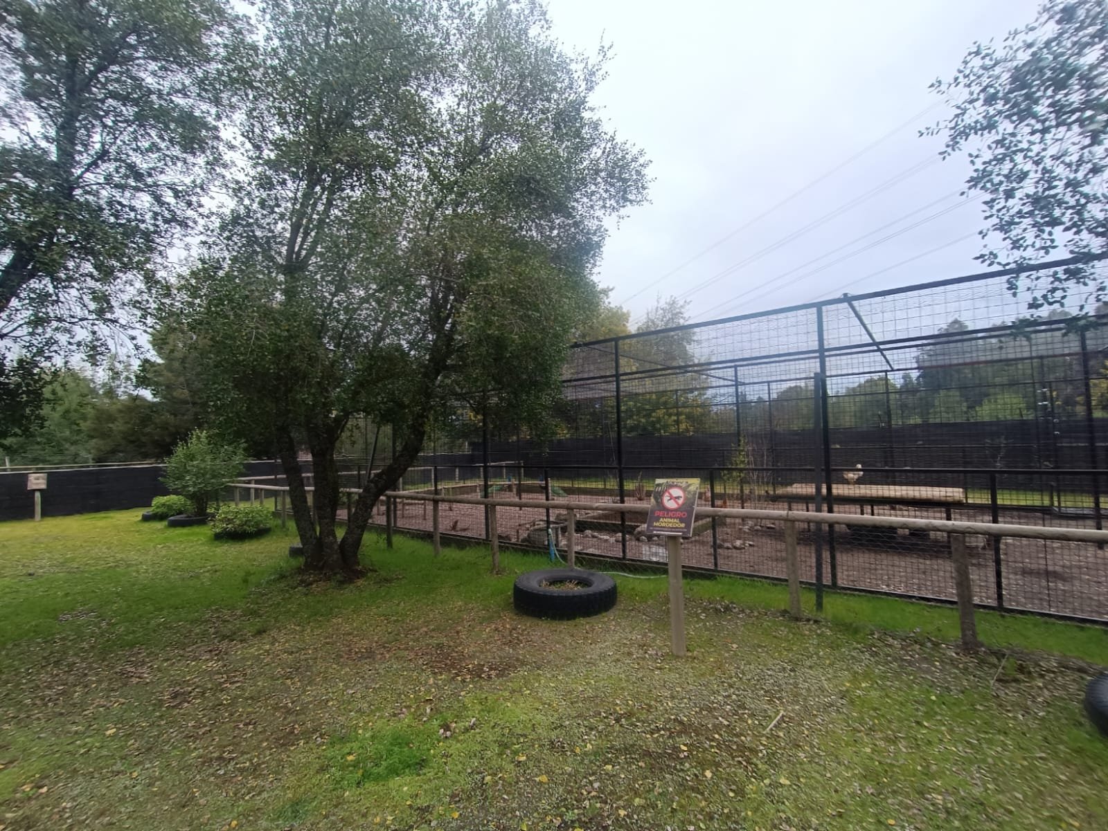 SE VENDE CAMPO DE 2,7 HECTÁREAS CAMINO A SANTA BÁRBARA