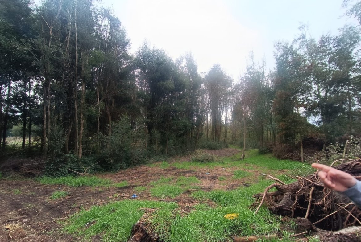 SE VENDE CAMPO DE 2,7 HECTÁREAS CAMINO A SANTA BÁRBARA