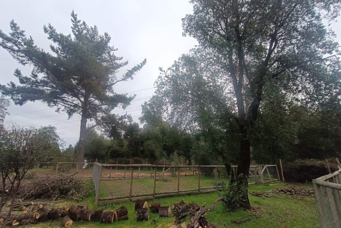 SE VENDE CAMPO DE 2,7 HECTÁREAS CAMINO A SANTA BÁRBARA