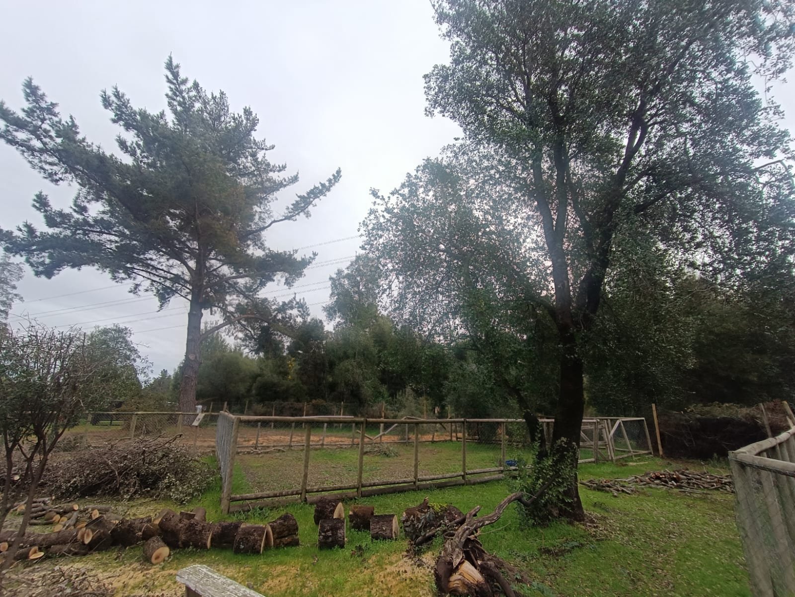 SE VENDE CAMPO DE 2,7 HECTÁREAS CAMINO A SANTA BÁRBARA
