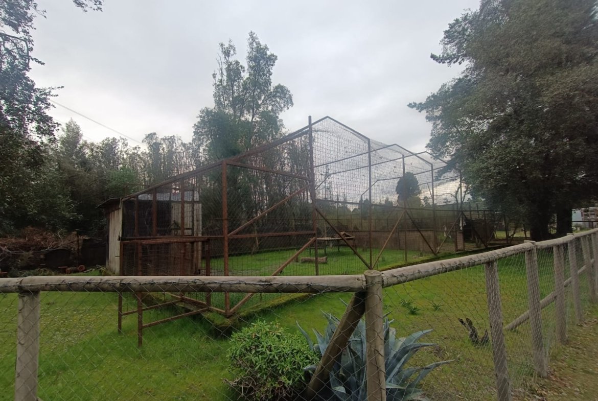 SE VENDE CAMPO DE 2,7 HECTÁREAS CAMINO A SANTA BÁRBARA