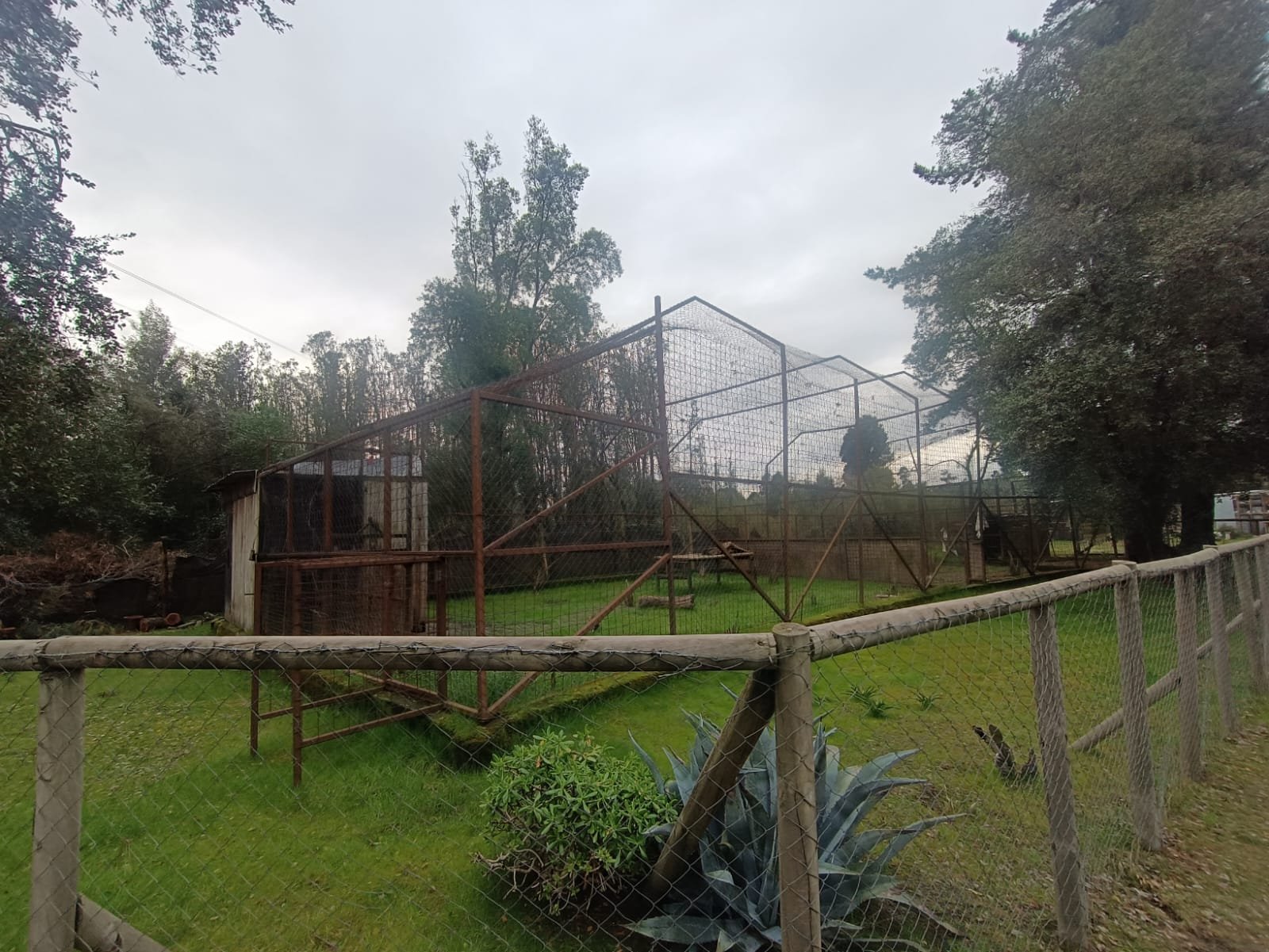 SE VENDE CAMPO DE 2,7 HECTÁREAS CAMINO A SANTA BÁRBARA