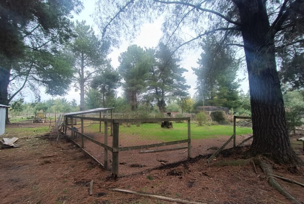 SE VENDE CAMPO DE 2,7 HECTÁREAS CAMINO A SANTA BÁRBARA