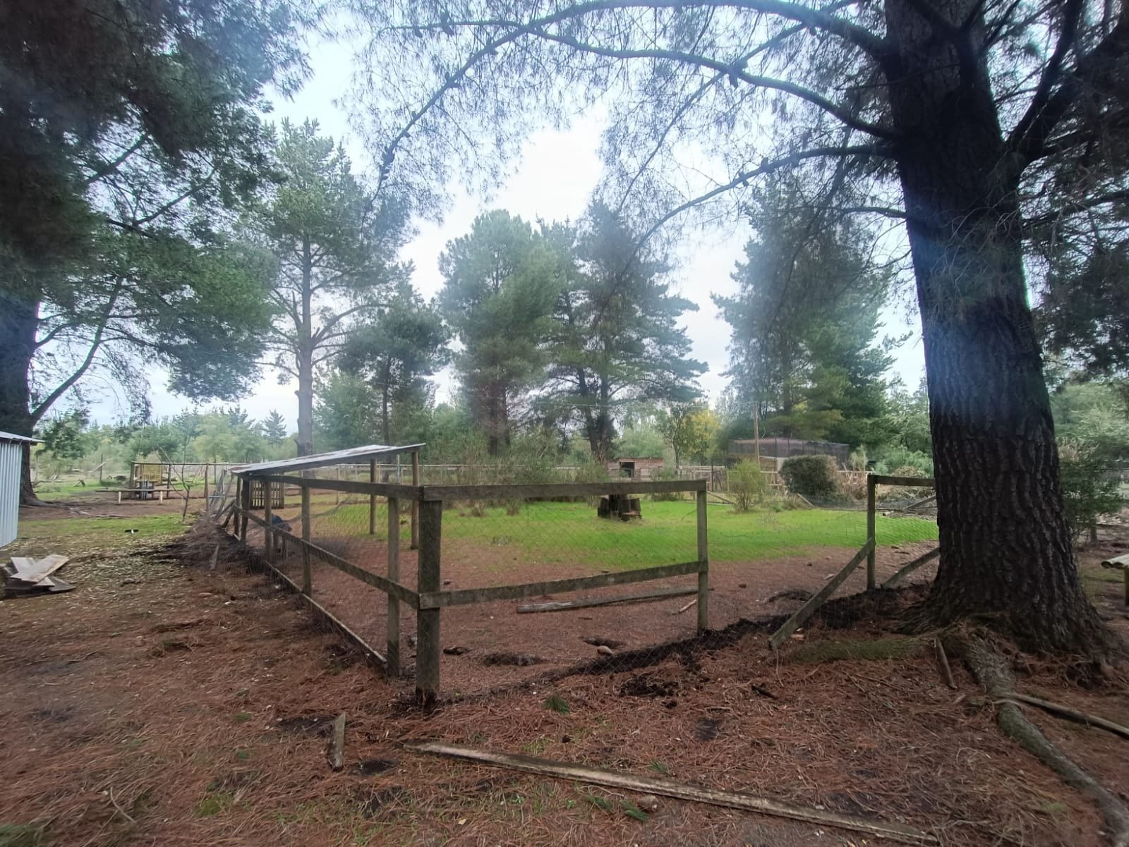 SE VENDE CAMPO DE 2,7 HECTÁREAS CAMINO A SANTA BÁRBARA