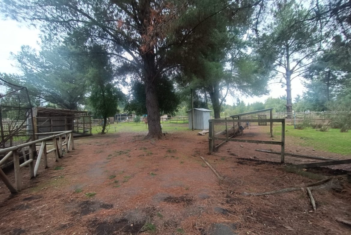 SE VENDE CAMPO DE 2,7 HECTÁREAS CAMINO A SANTA BÁRBARA
