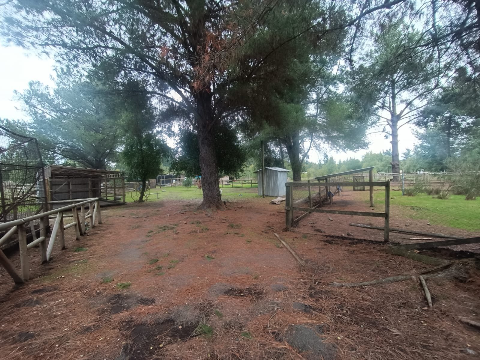 SE VENDE CAMPO DE 2,7 HECTÁREAS CAMINO A SANTA BÁRBARA