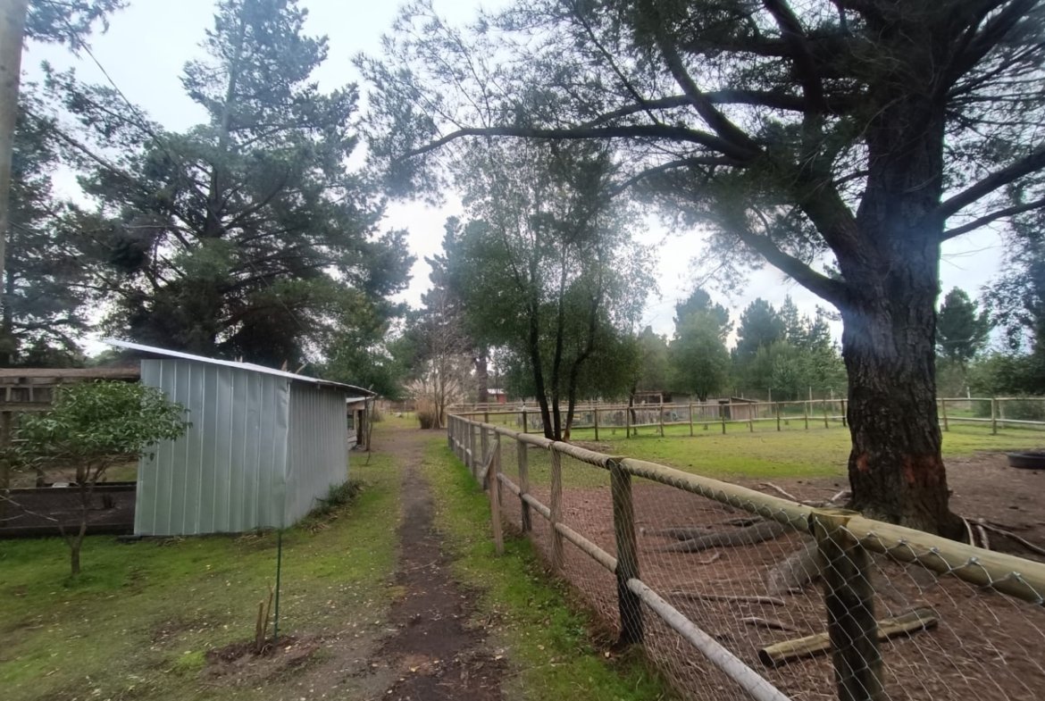 SE VENDE CAMPO DE 2,7 HECTÁREAS CAMINO A SANTA BÁRBARA