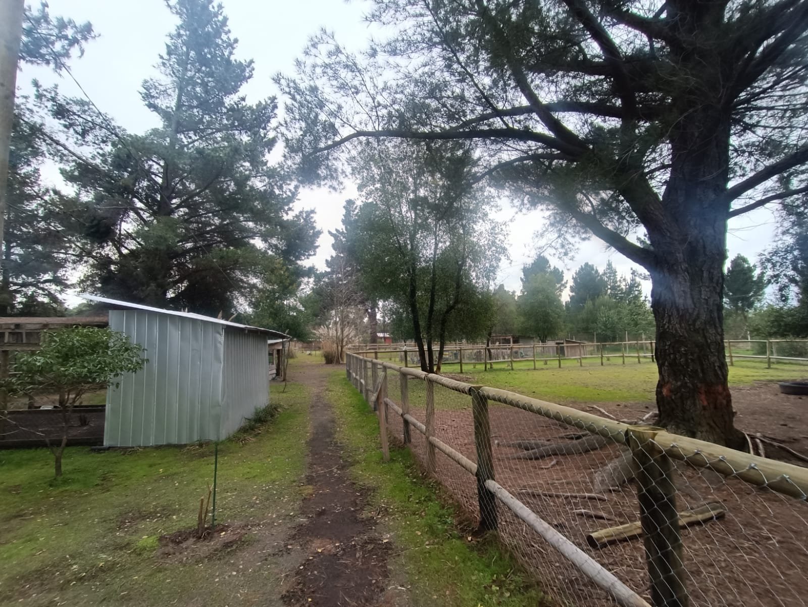 SE VENDE CAMPO DE 2,7 HECTÁREAS CAMINO A SANTA BÁRBARA