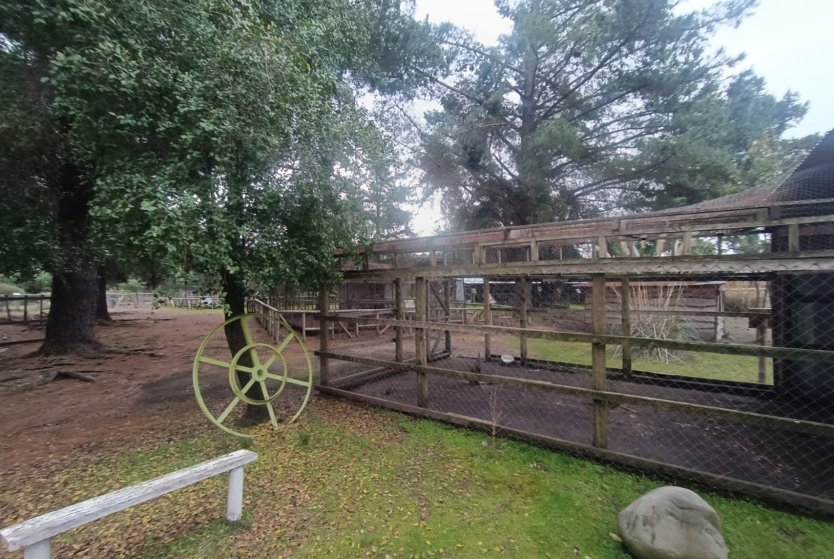 SE VENDE CAMPO DE 2,7 HECTÁREAS CAMINO A SANTA BÁRBARA