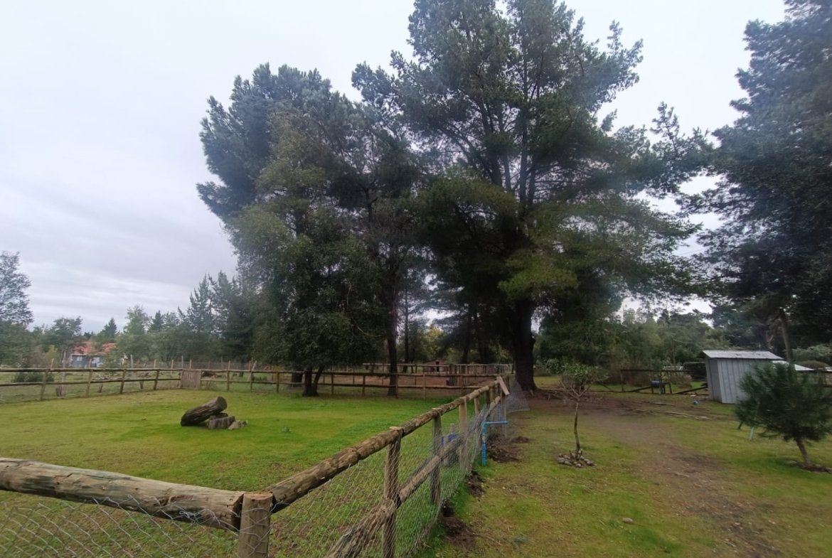SE VENDE CAMPO DE 2,7 HECTÁREAS CAMINO A SANTA BÁRBARA