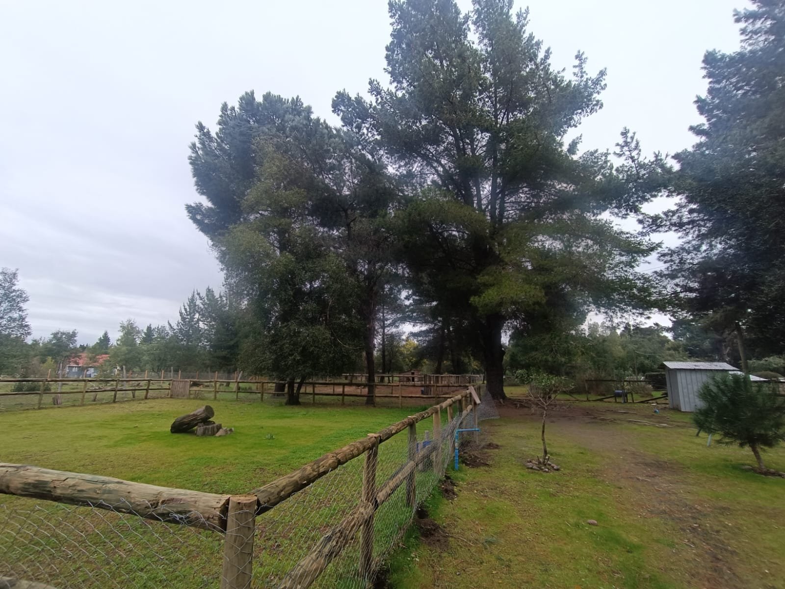 SE VENDE CAMPO DE 2,7 HECTÁREAS CAMINO A SANTA BÁRBARA