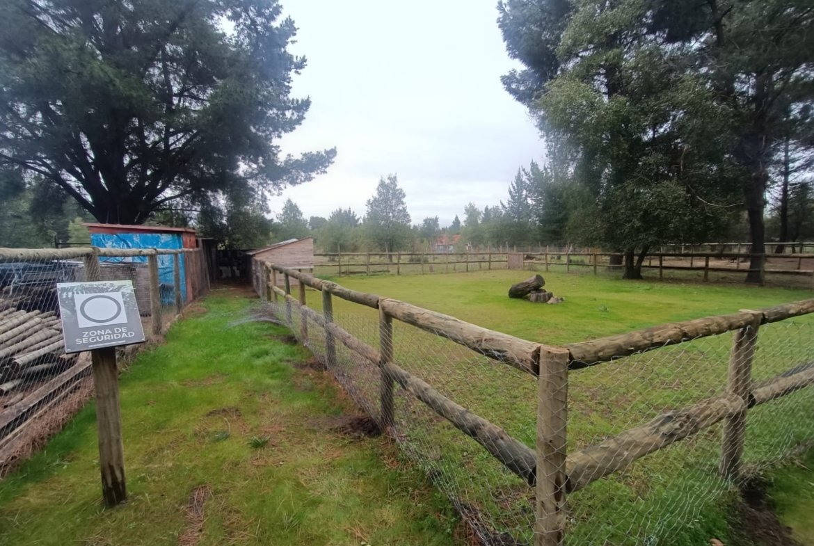 SE VENDE CAMPO DE 2,7 HECTÁREAS CAMINO A SANTA BÁRBARA